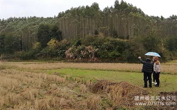 湖北陈老师带着爱徒寻龙点穴